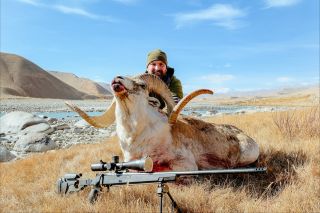 🇺🇸 Hunting the legendary Marco Polo sheep – high in the mountains, above 4,200 meters. At sunrise, in freezing wind and...