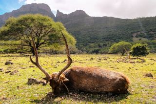 🇺🇸 A little bit of sunshine for these cold winter days. ☀️ What are your plans for the weekend? Let us know in the...